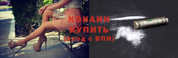 мдпв Костерёво
