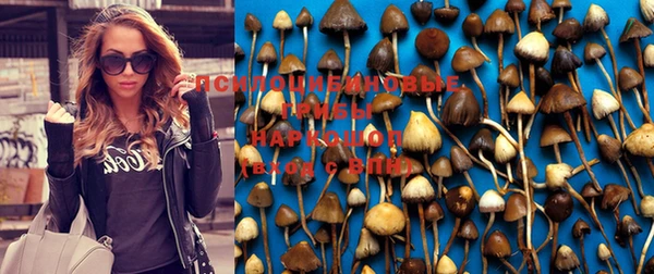 марки lsd Корсаков